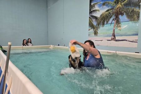 Canine Physical Rehab & Recreation