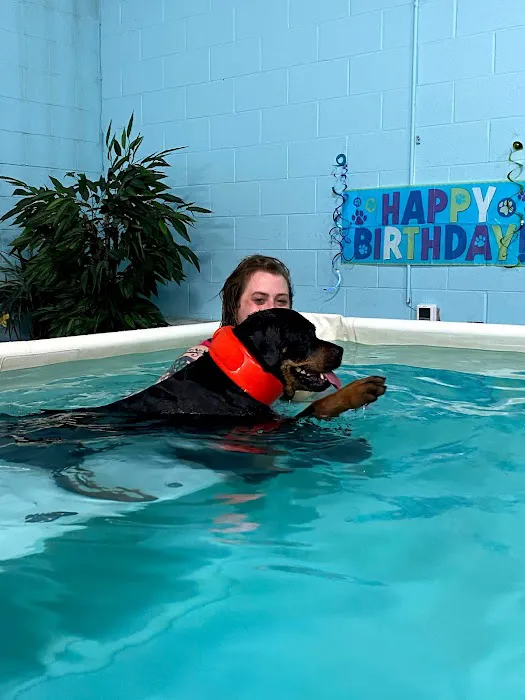 Canine Physical Rehab & Recreation 12