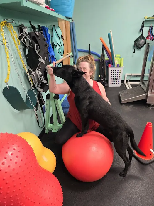 Canine Physical Rehab & Recreation 12