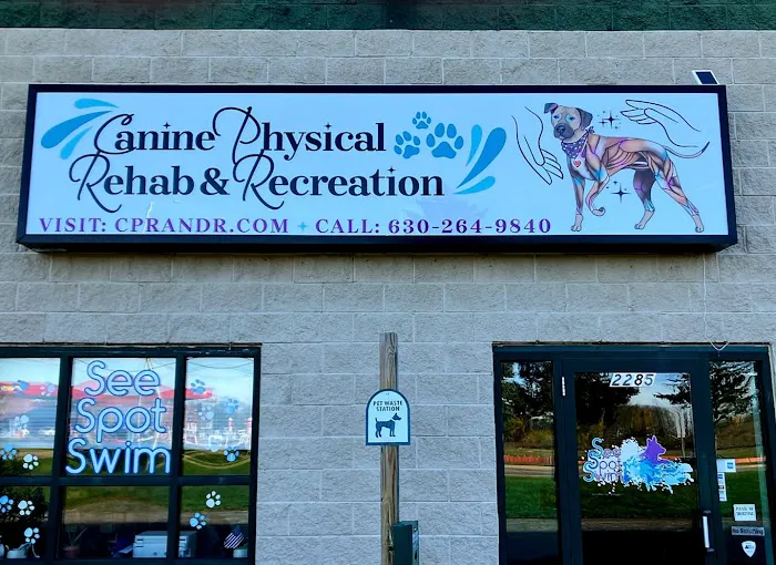 Canine Physical Rehab & Recreation 12