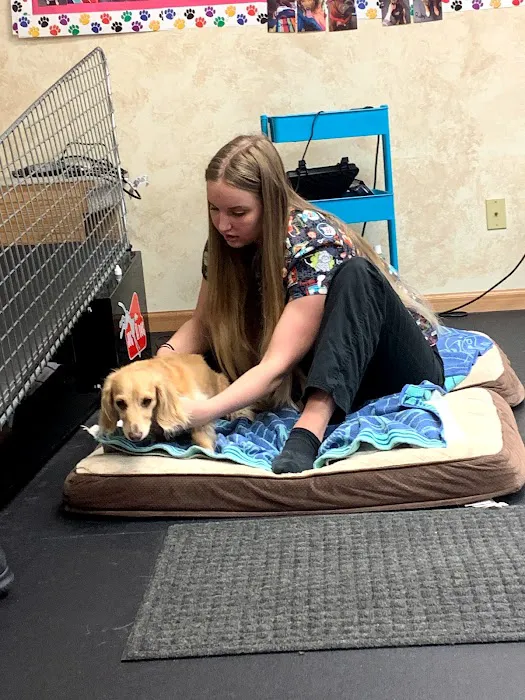 Canine Physical Rehab & Recreation 12