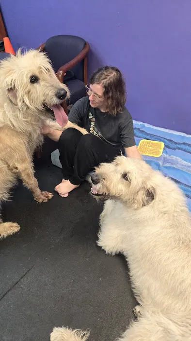 Canine Physical Rehab & Recreation 12