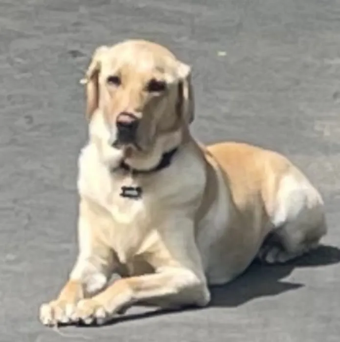 Banfield Pet Hospital 4