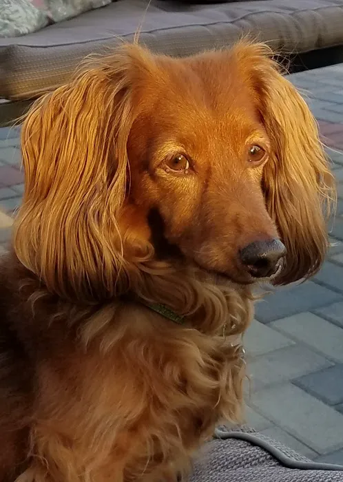 Banfield Pet Hospital 2