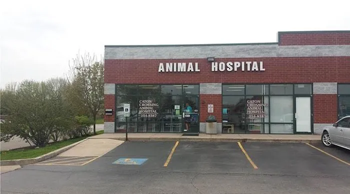 Caton Crossing Animal Hospital 12