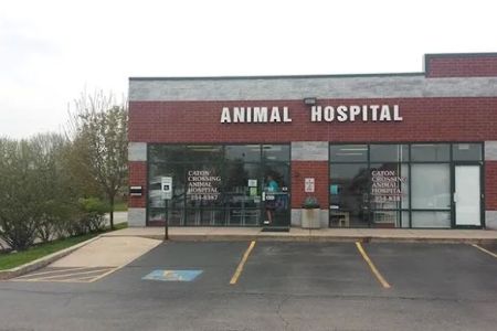 Caton Crossing Animal Hospital