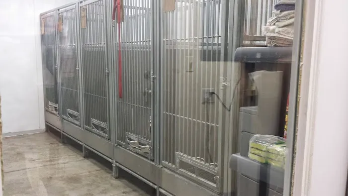 Caton Crossing Animal Hospital 12