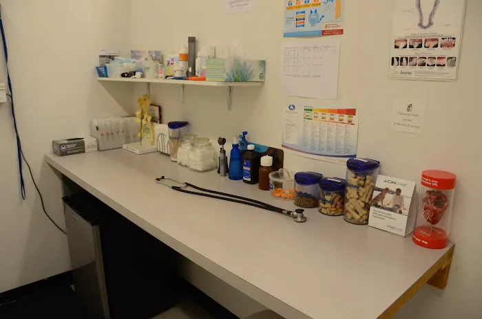 Hampton Park Animal Hospital 3