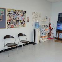Hampton Park Animal Hospital ico