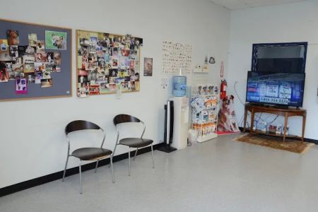 Hampton Park Animal Hospital