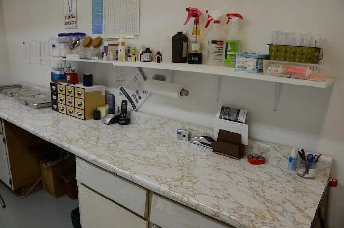 Hampton Park Animal Hospital 5