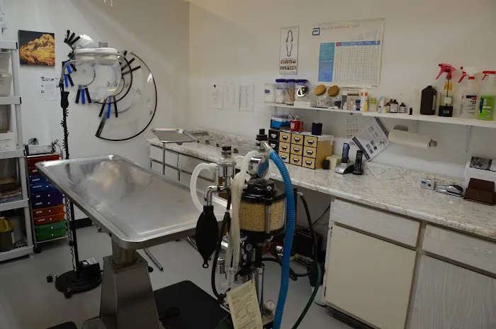 Hampton Park Animal Hospital 9