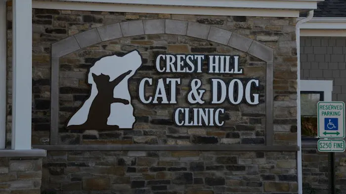 Crest Hill Cat and Dog 1