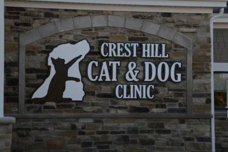 Crest Hill Cat and Dog