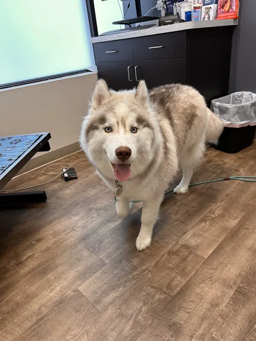 Crest Hill Animal Hospital 1