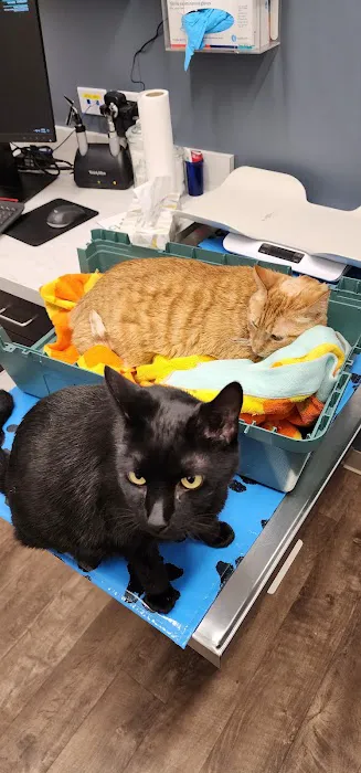 Crest Hill Animal Hospital 2