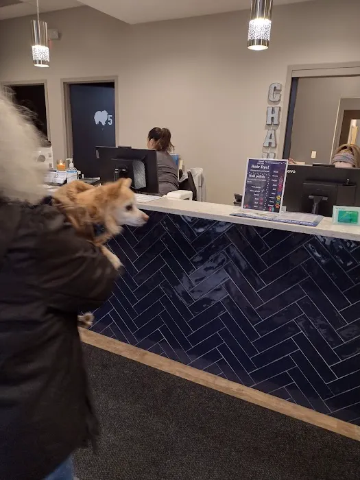 Crest Hill Animal Hospital 8