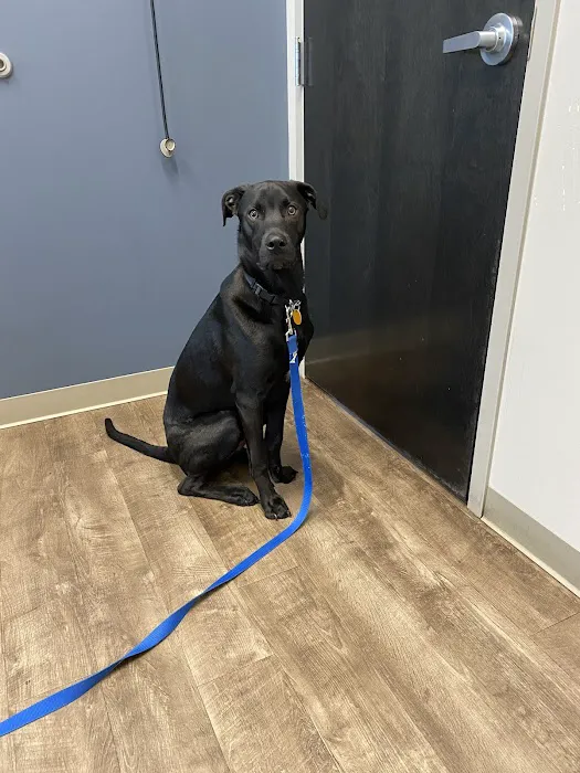 Crest Hill Animal Hospital 7
