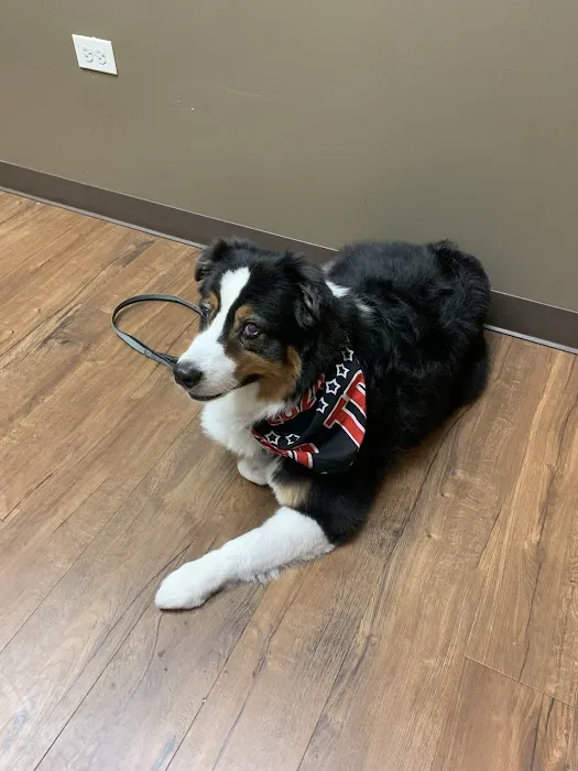 Rowland Animal Clinic 9