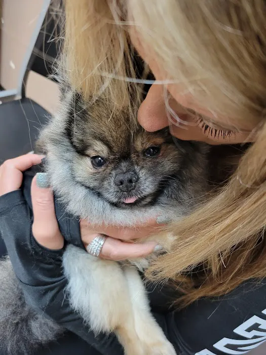 Crossroads Animal Hospital 1