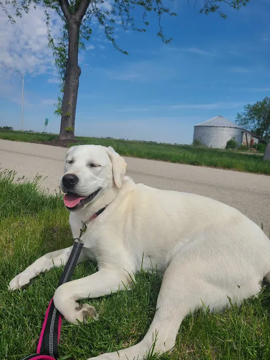 Crossroads Animal Hospital 6