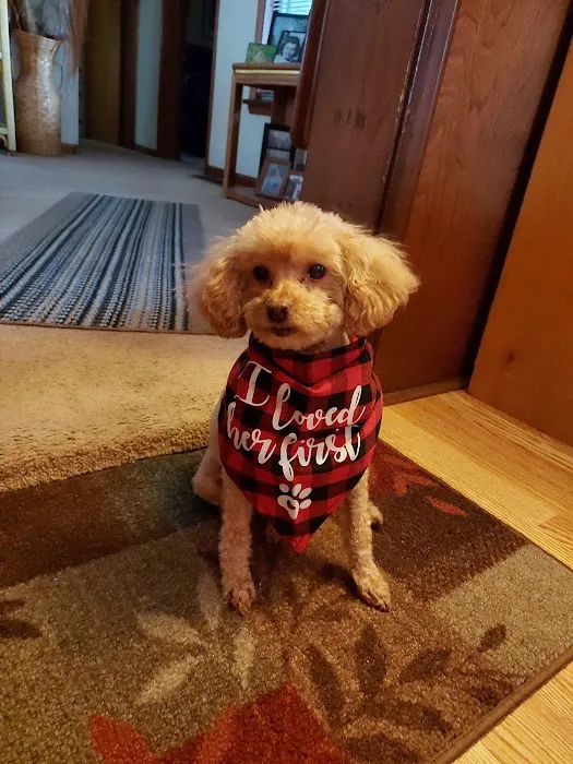 Crossroads Animal Hospital 7