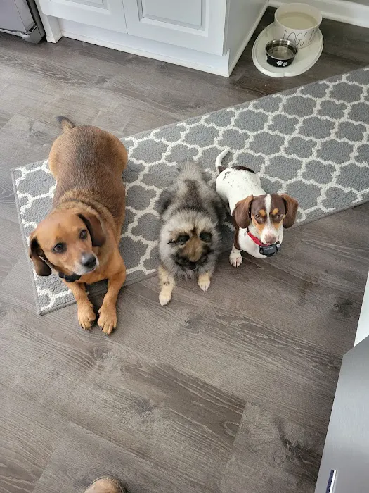 Crossroads Animal Hospital 8