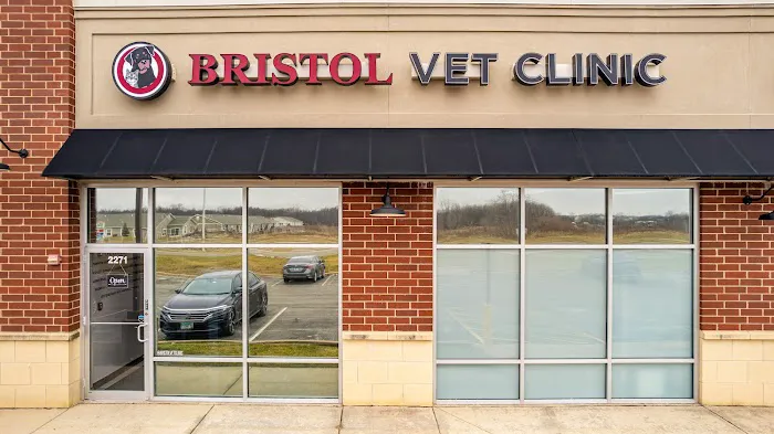 Bristol Veterinary Clinic 12