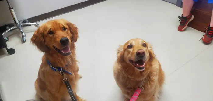 Bristol Veterinary Clinic 12