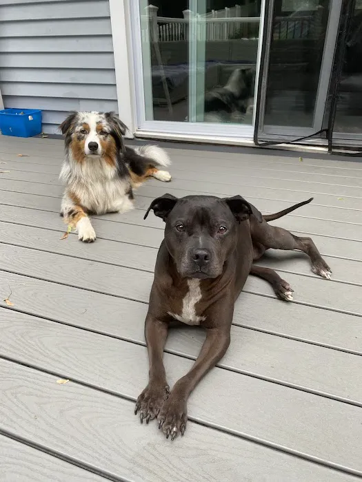 Ramapo Valley Animal Hospital 4