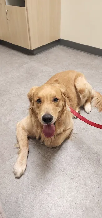 Vetco Total Care Animal Hospital 2