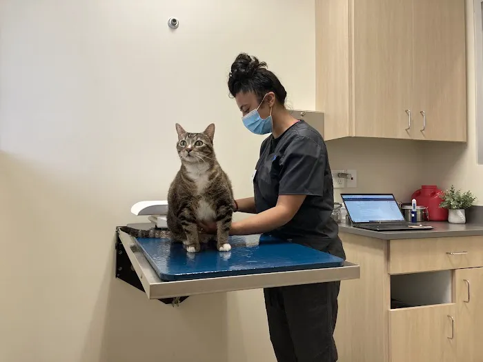 Vetco Total Care Animal Hospital 4