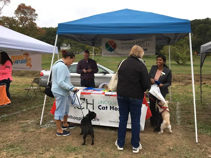 Lincoln Avenue Cat & Dog Hospital 8