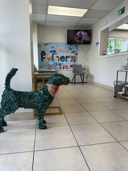 Lincoln Avenue Cat & Dog Hospital 9