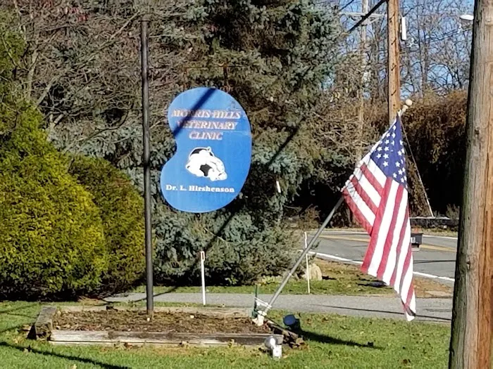Morris Hills Veterinary Clinic 2