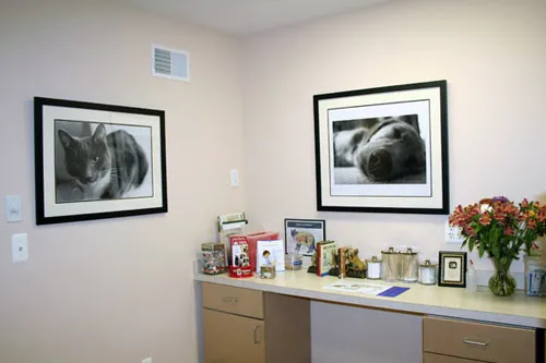 MountainView Veterinary Hospital 1