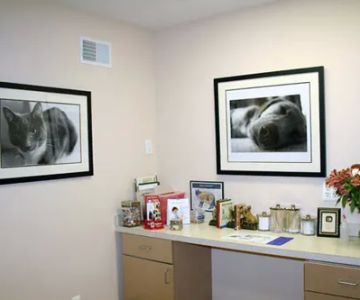 MountainView Veterinary Hospital