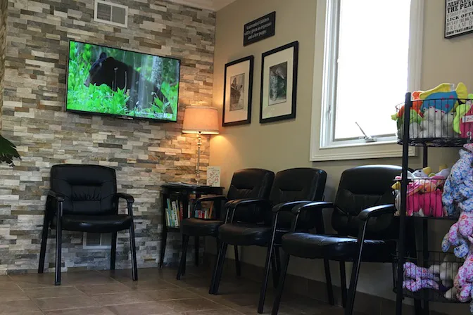 MountainView Veterinary Hospital 5