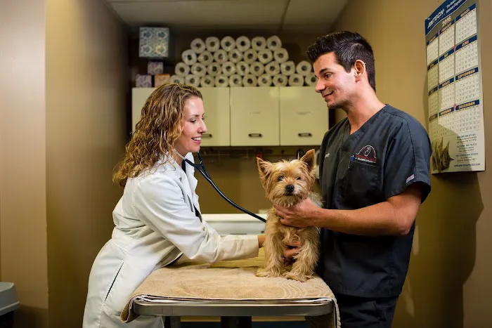 Veterinary Center of Morris County 2