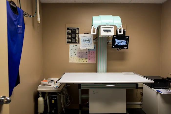 Veterinary Center of Morris County 1