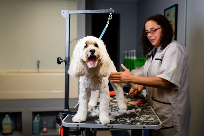 Veterinary Center of Morris County 7