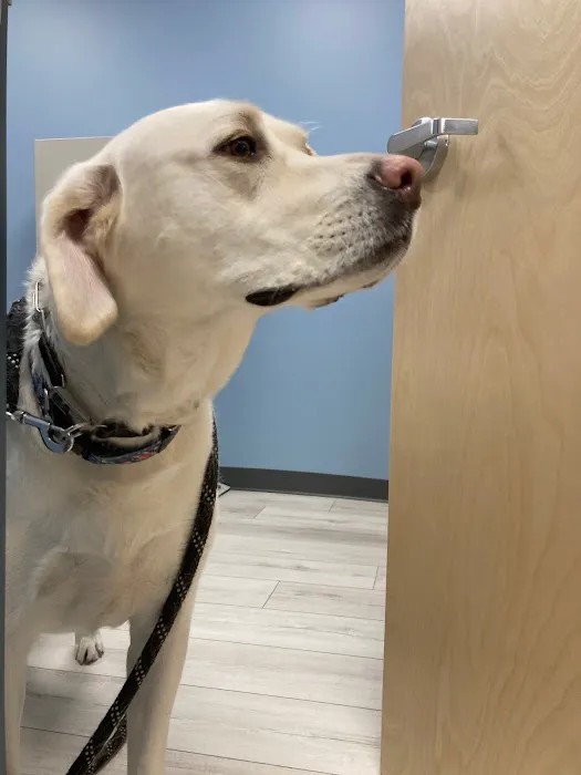 Saint Francis Veterinary Medical Center 5