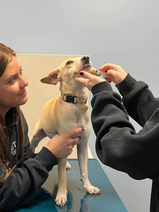 Saint Francis Veterinary Medical Center 8