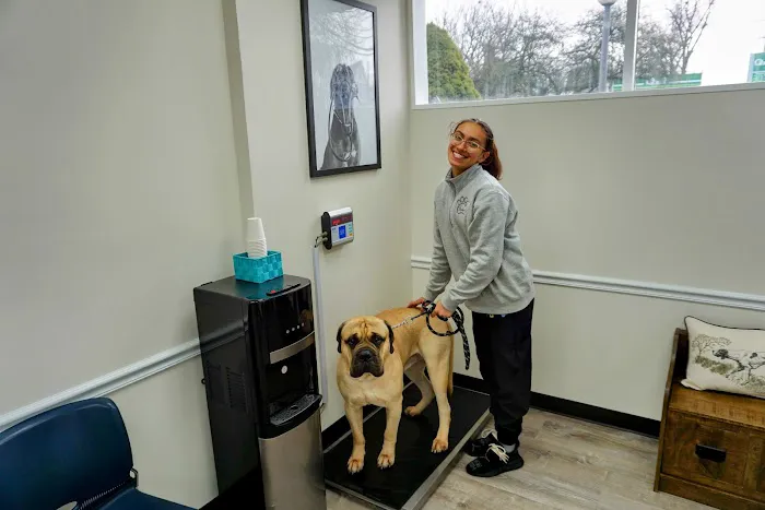 Denville Animal Hospital 4
