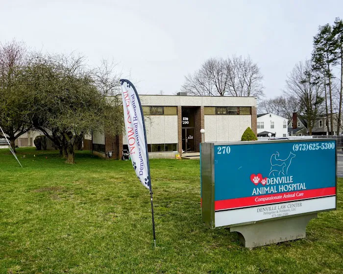Denville Animal Hospital 9