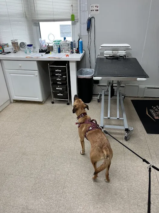 Green Pond Animal Care Center 4