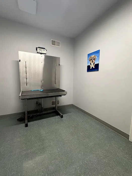 Werner Animal Hospital 2