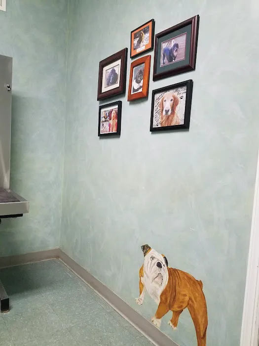 Werner Animal Hospital 7