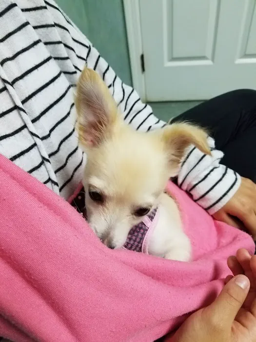Werner Animal Hospital 8