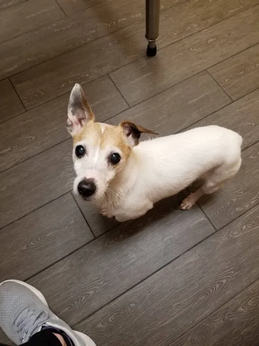 Banfield Pet Hospital 4